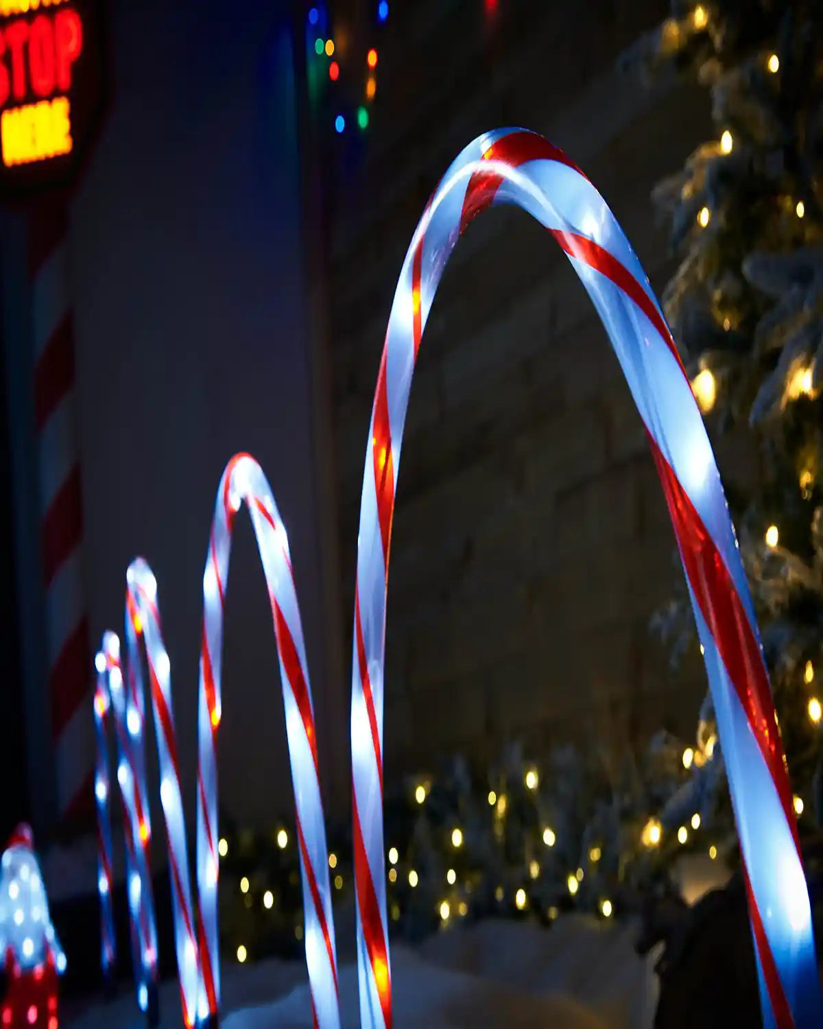 Close up of 4 Candy Cane Arch Pathway Stake Lights in a snowy garden with lights and fencing
 