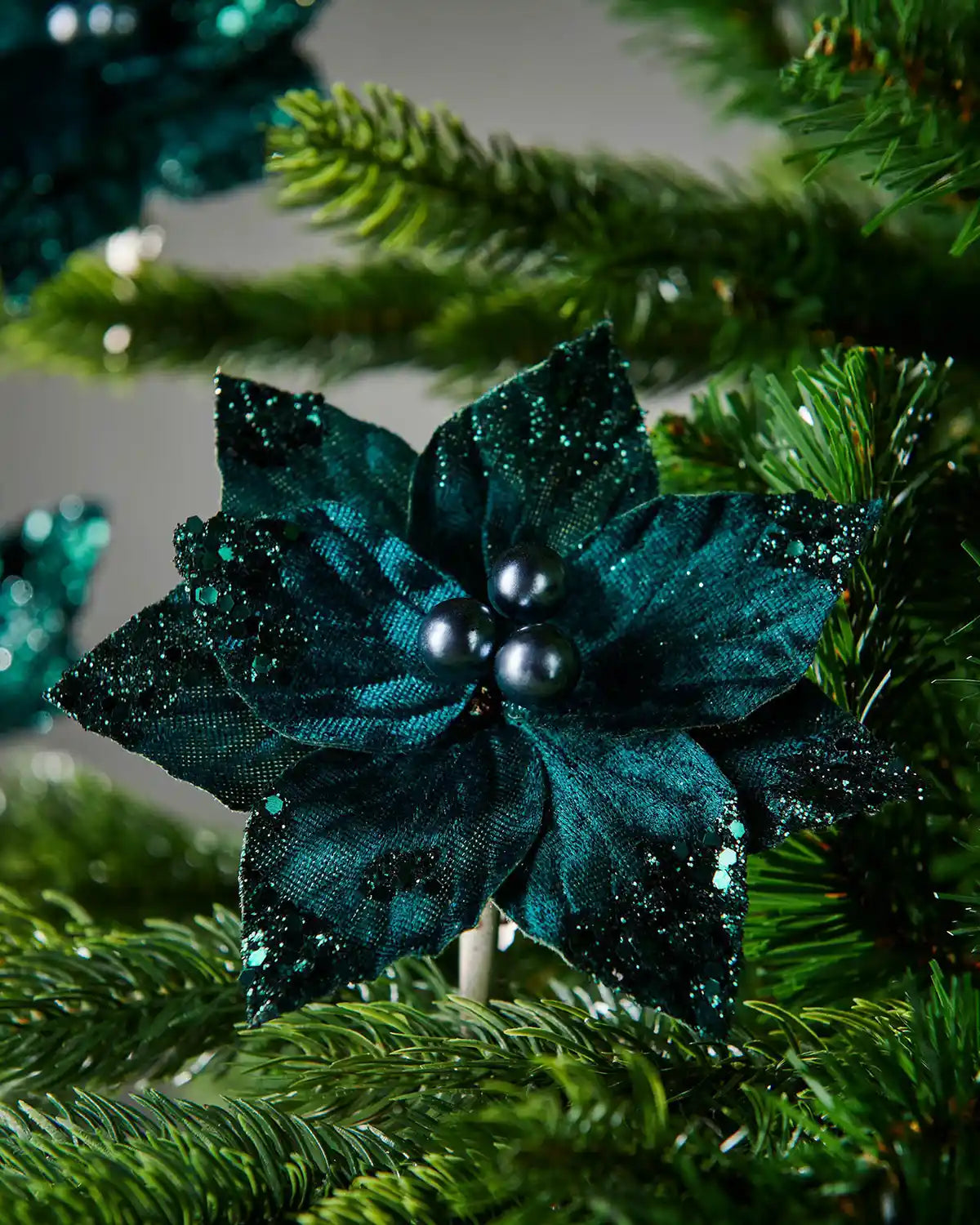 Close up of Emerald Poinsettia
glittery flower with matt Emerald berries  on a Christmas tree