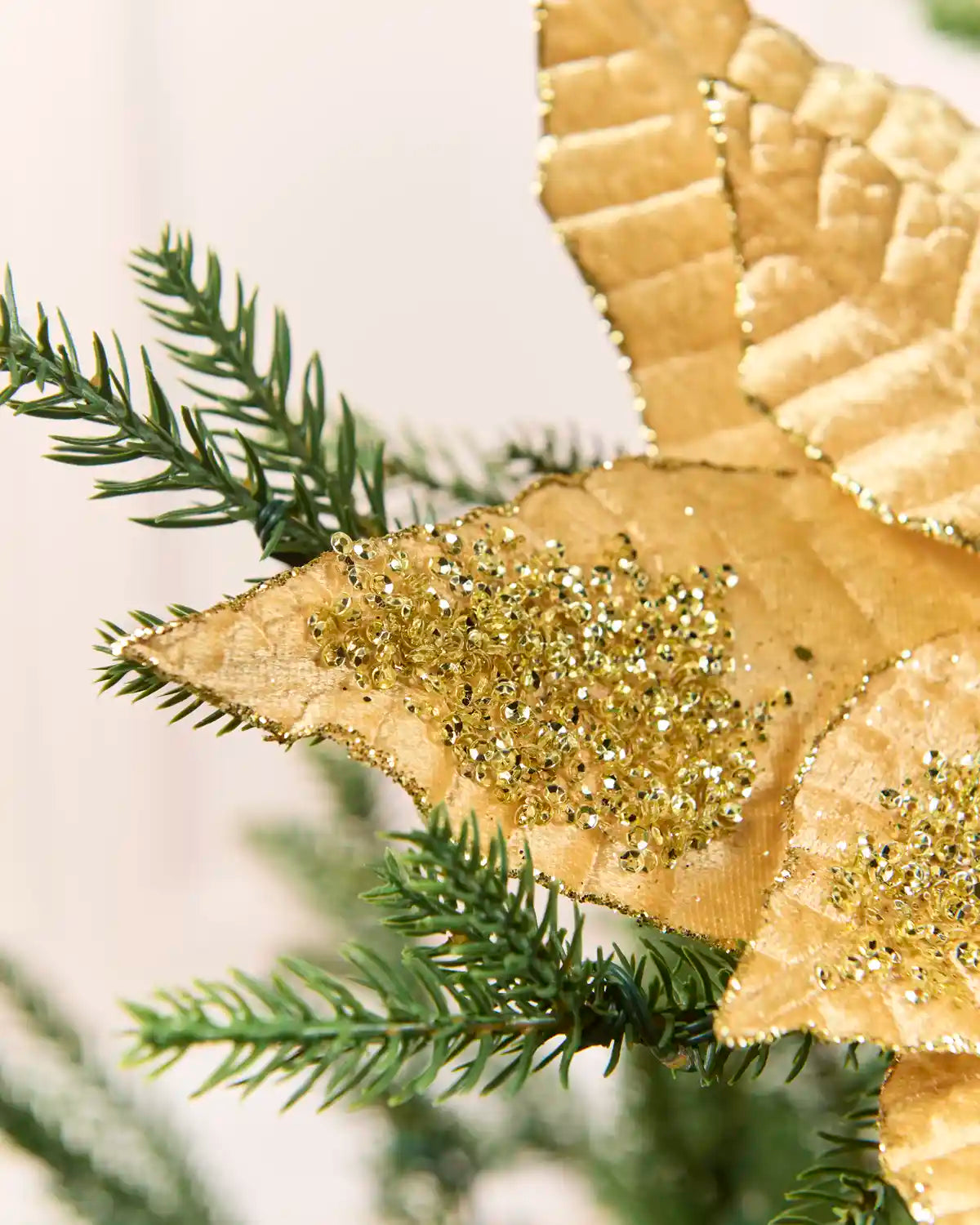 Close up of Gold Artificial Poinsettia Flower petals with glitter on, Christmas tree branches coming out the side and a blurred plain cream background. 