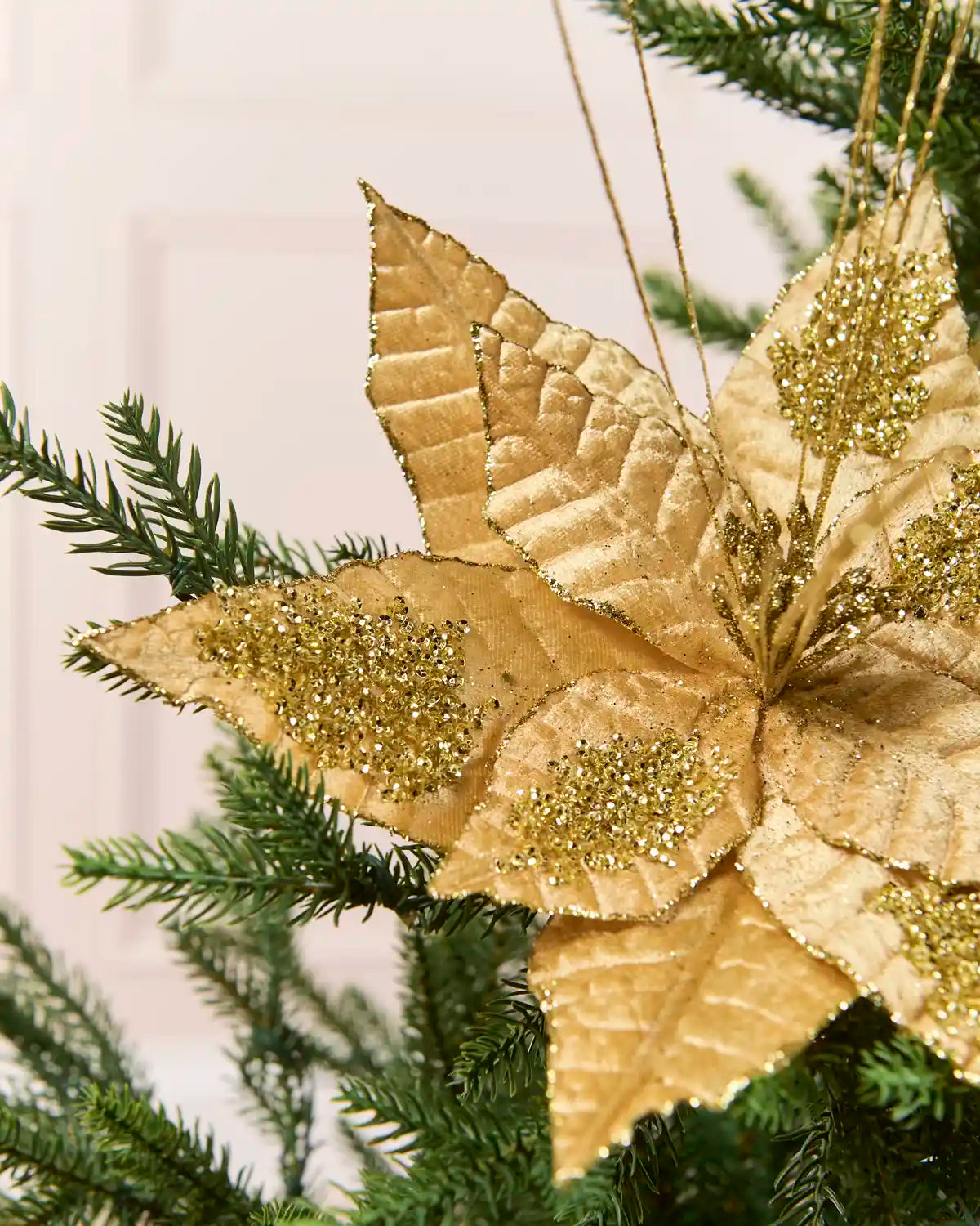 Close up of Gold Artificial Poinsettia Flower petals with glitter on placed into Christmas tree branch, with a blurred plain cream background