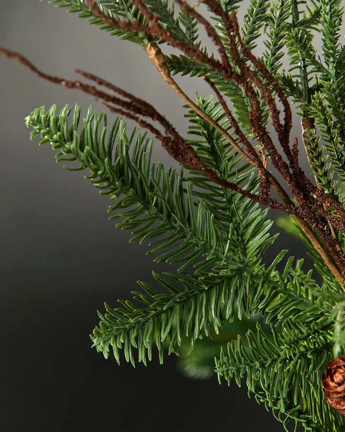 Close up of Green branch tips decorated with pinecones and brown branches against a grey background