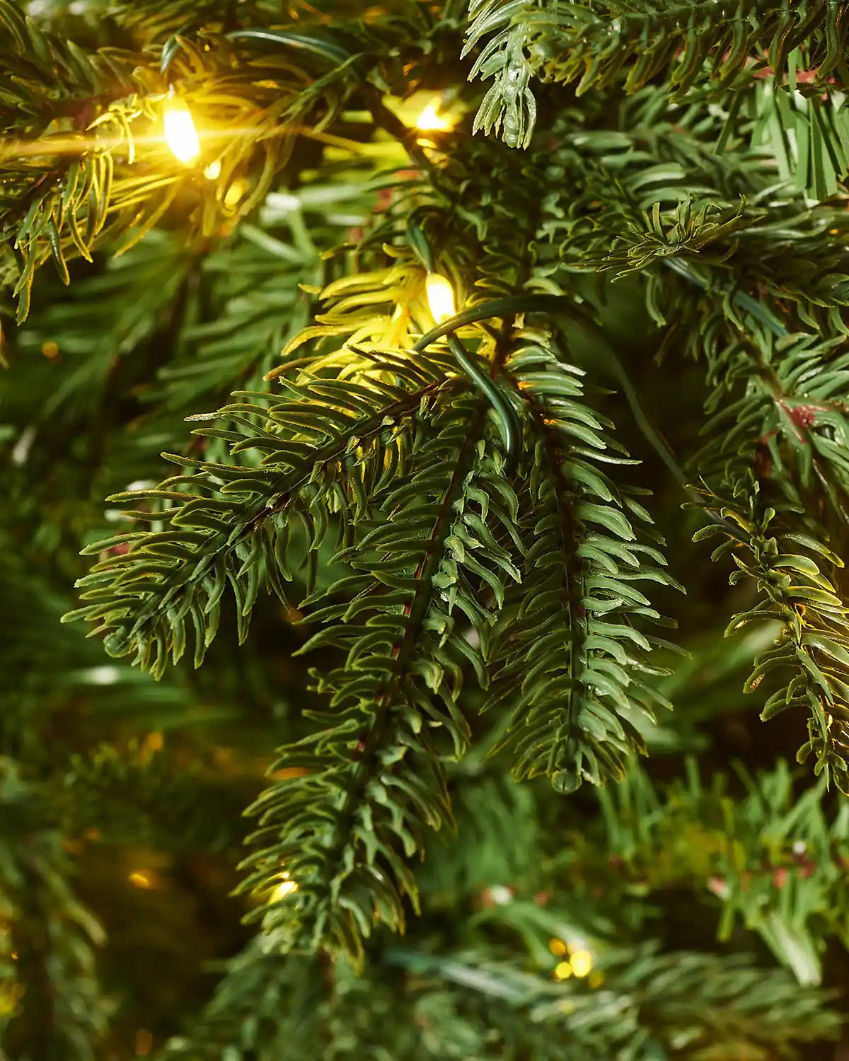Close up of Pre-Lit Nordmann Fir Christmas Tree, 8 ft with single lit bulbs