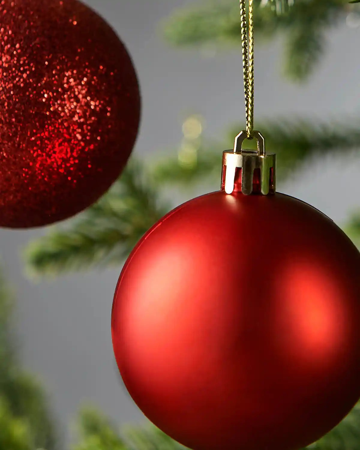 Close up of Red Christmas baubles ornament hanging on a tree branch with a blurred background