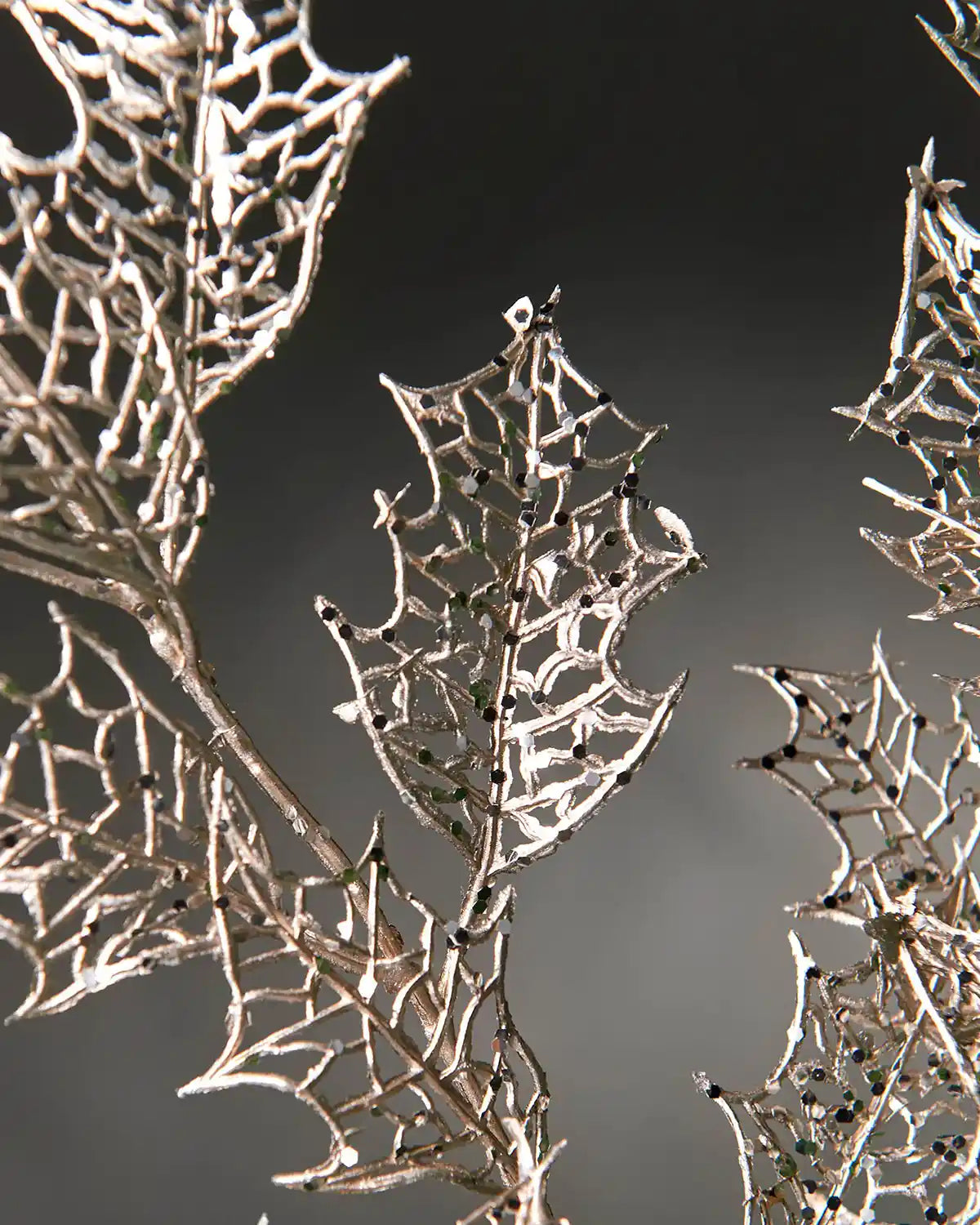 Close up of Silver Holly leaves on a Christmas tree against a Grey background