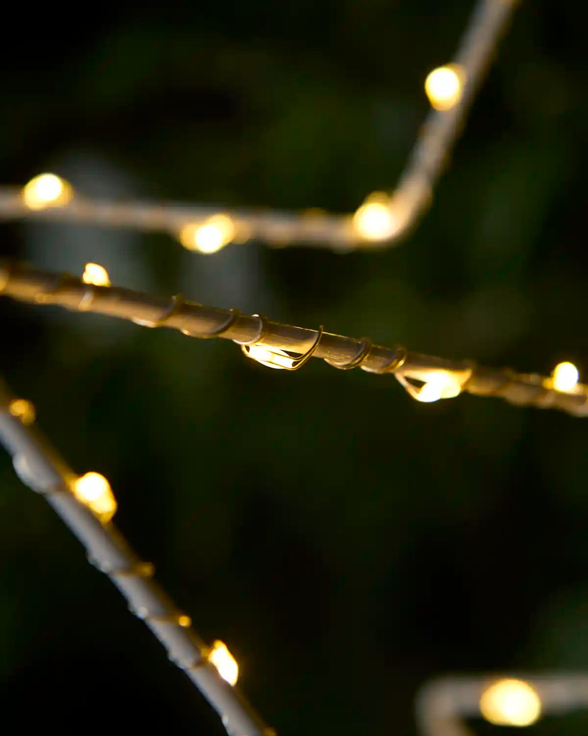 Close up of Warm White star shaped in string lights against a blurry night time background 