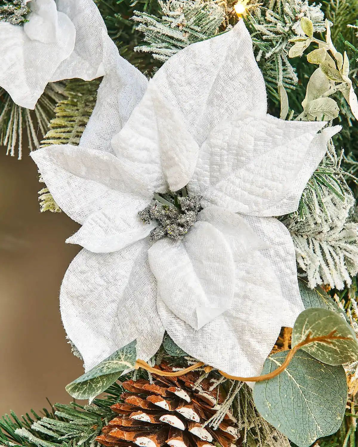 Close up of White poinsettia flower decoration on a Christmas wreath with greenery and pinecones.