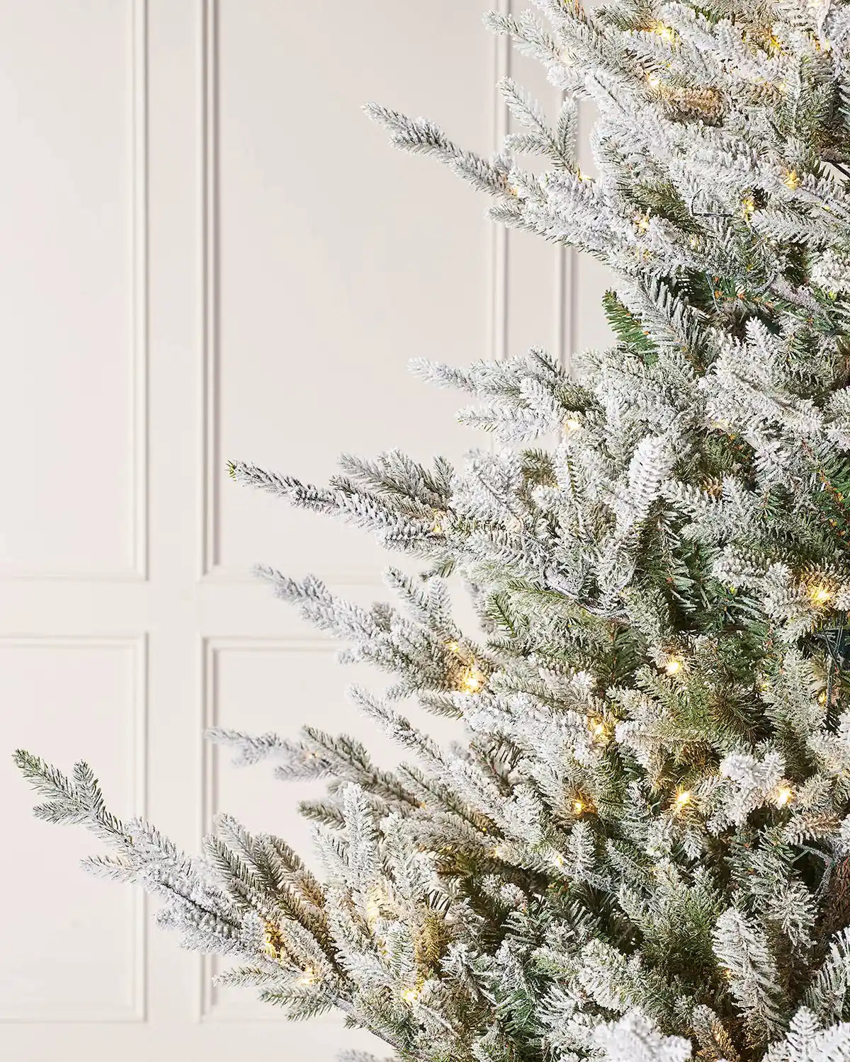 Close up of a 6ft Snow Flocked Douglas Fir Christmas Tree with lights on a cream panel background

