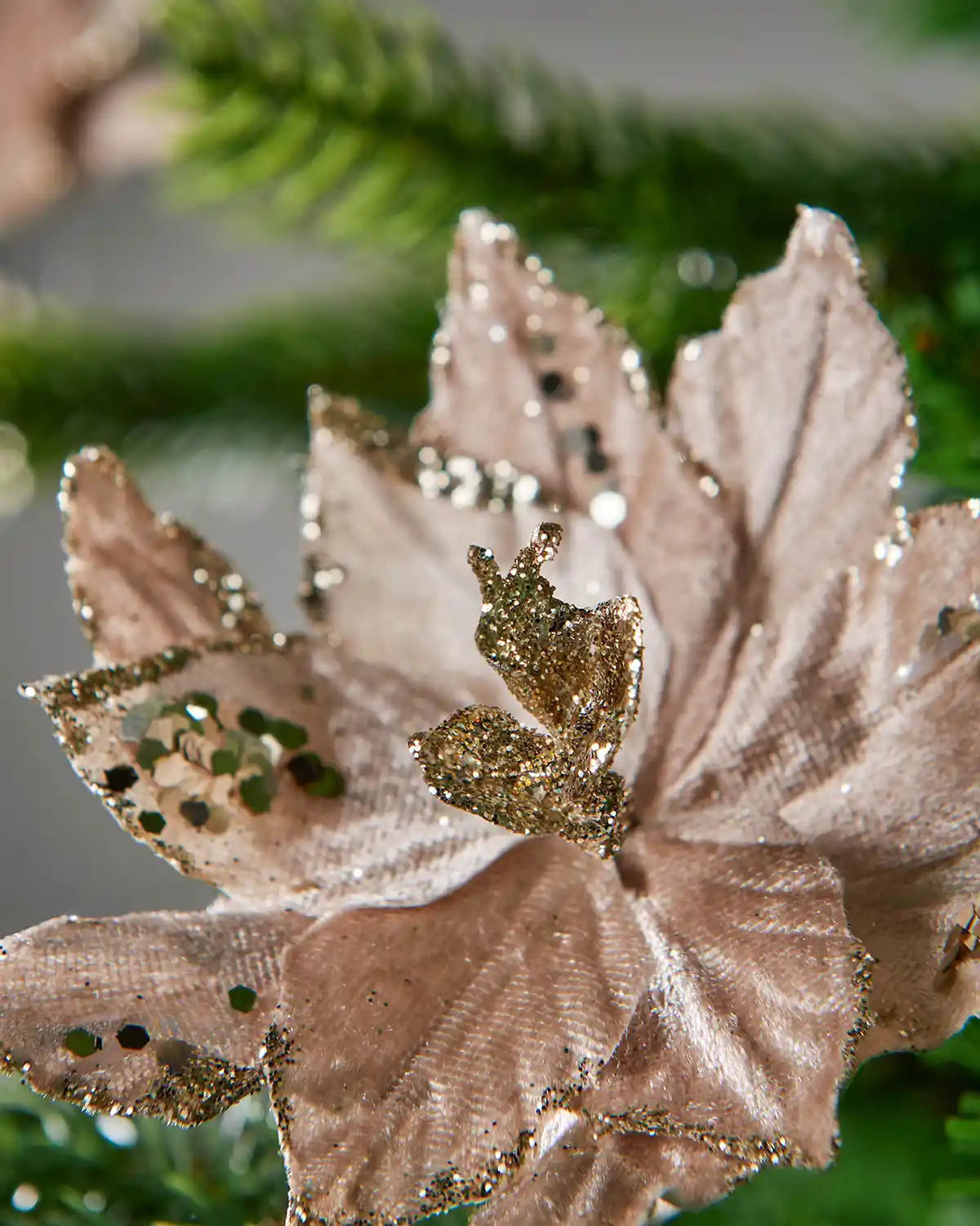 Close up of a Gold Artificial Poinsettia Flower with Clip on a Christmas tree with a grey background