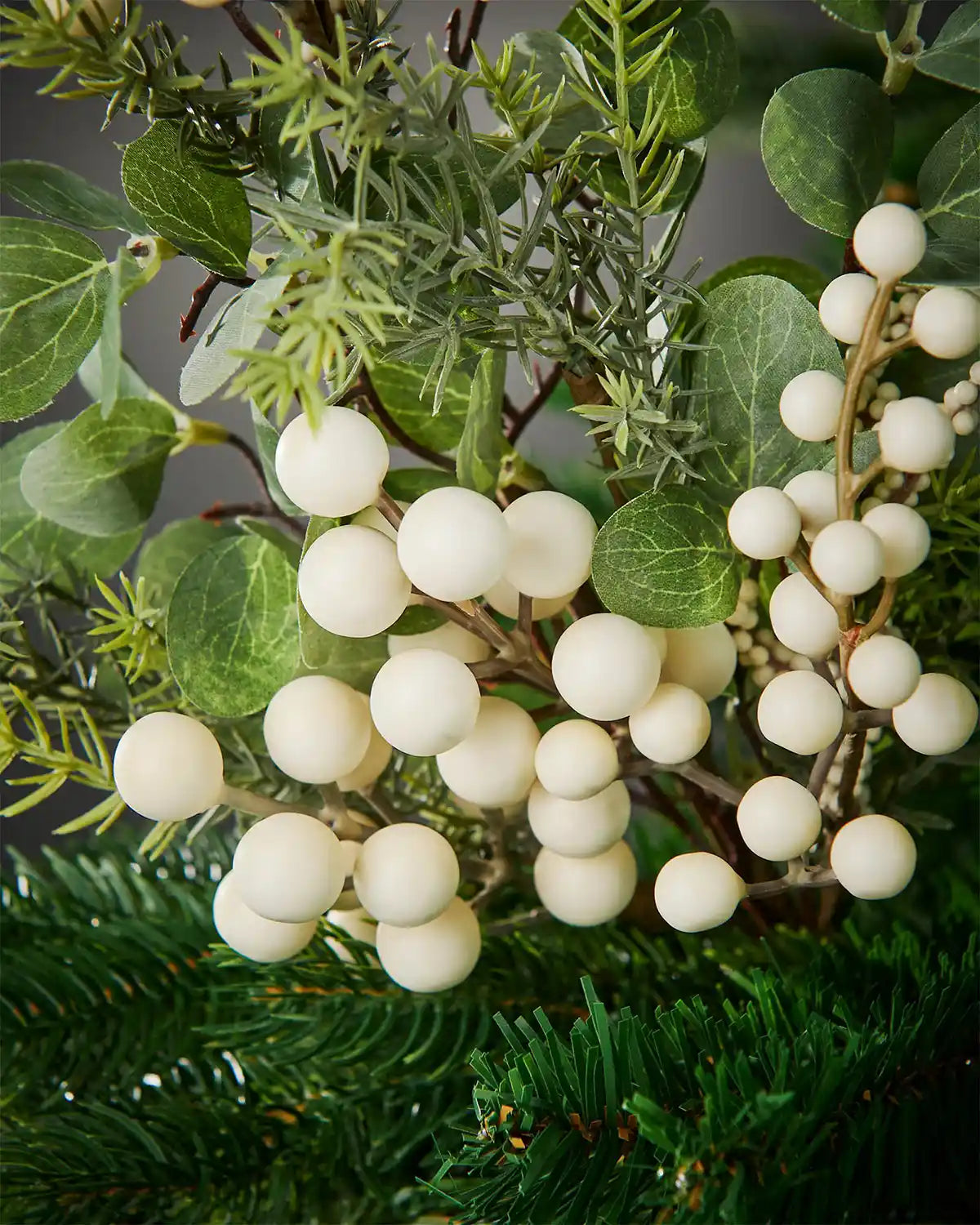 Close up of a Mistletoe berries on a Christmas tree against a grey background 