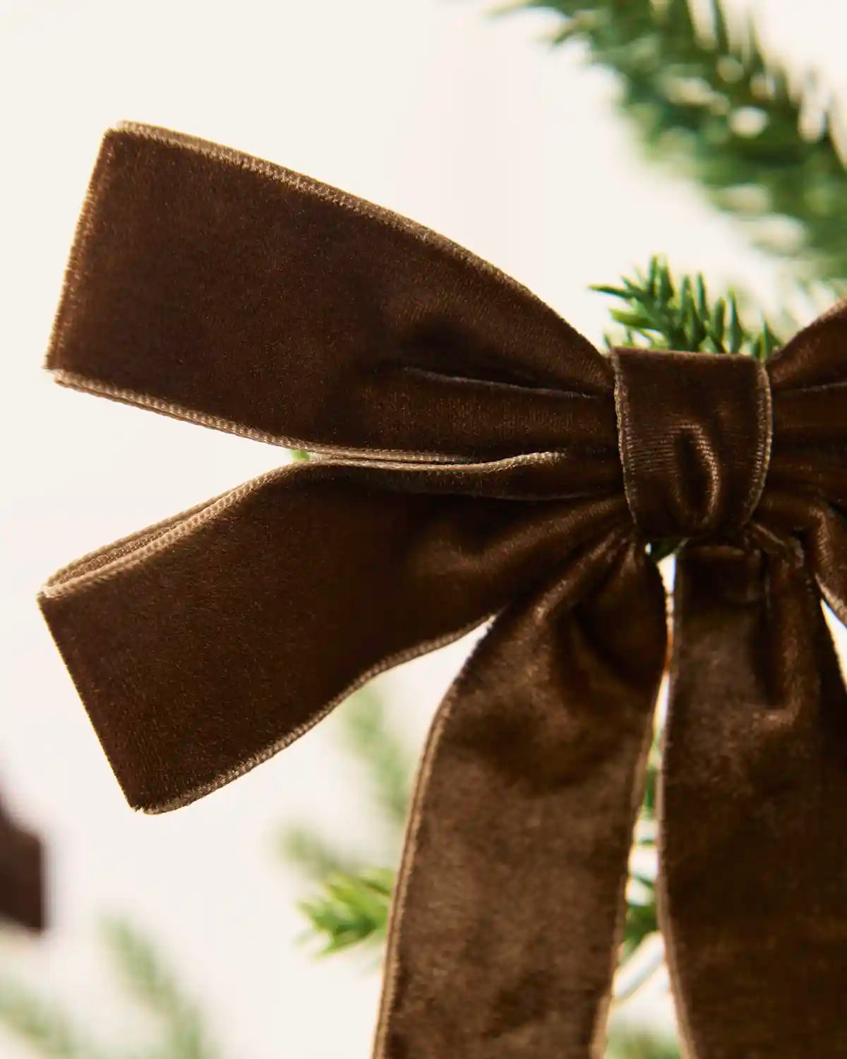 Close up of a Mocha velvet Double Bow 