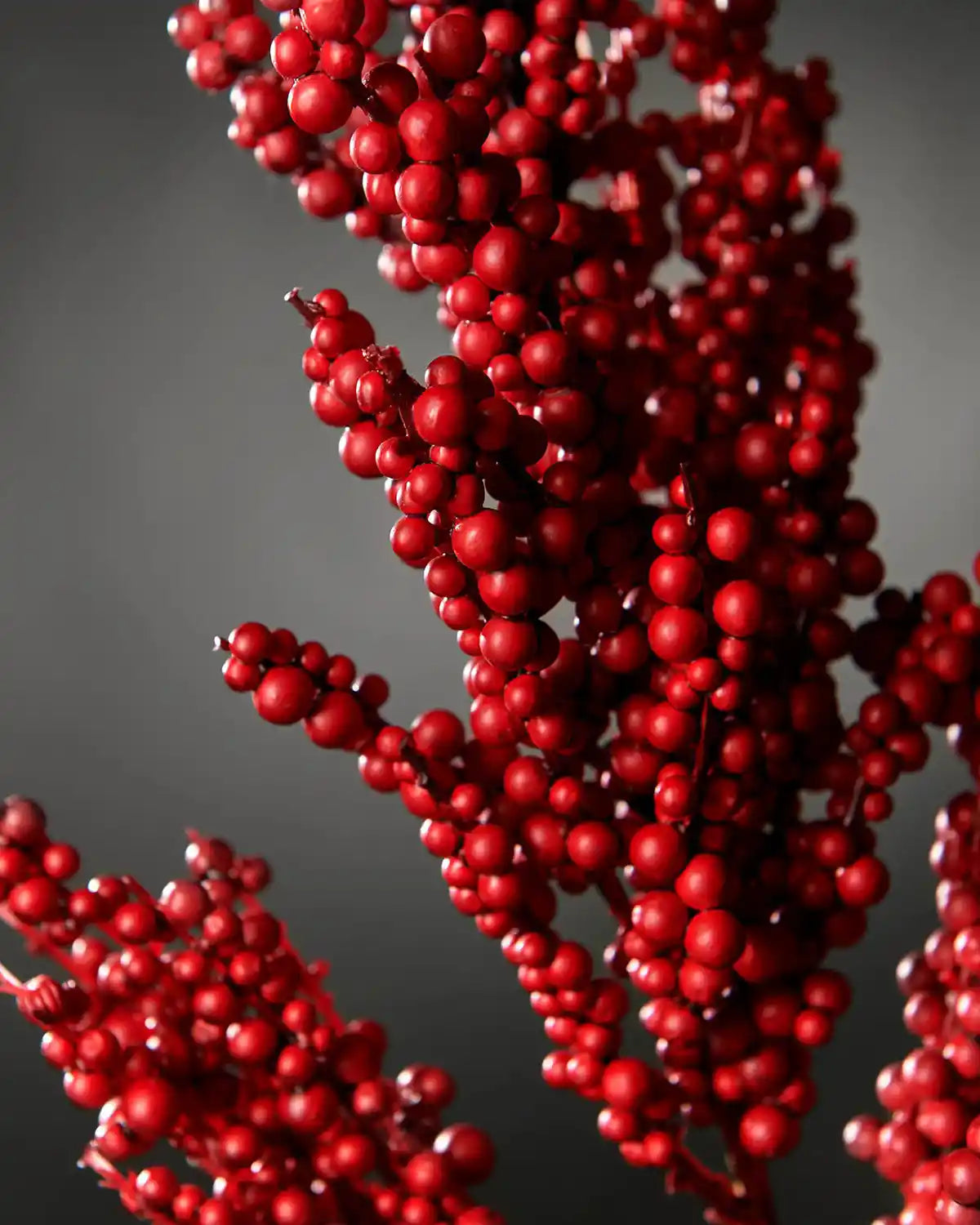 Close up of a Red berry cluster pick on a Christmas tree against a grey background