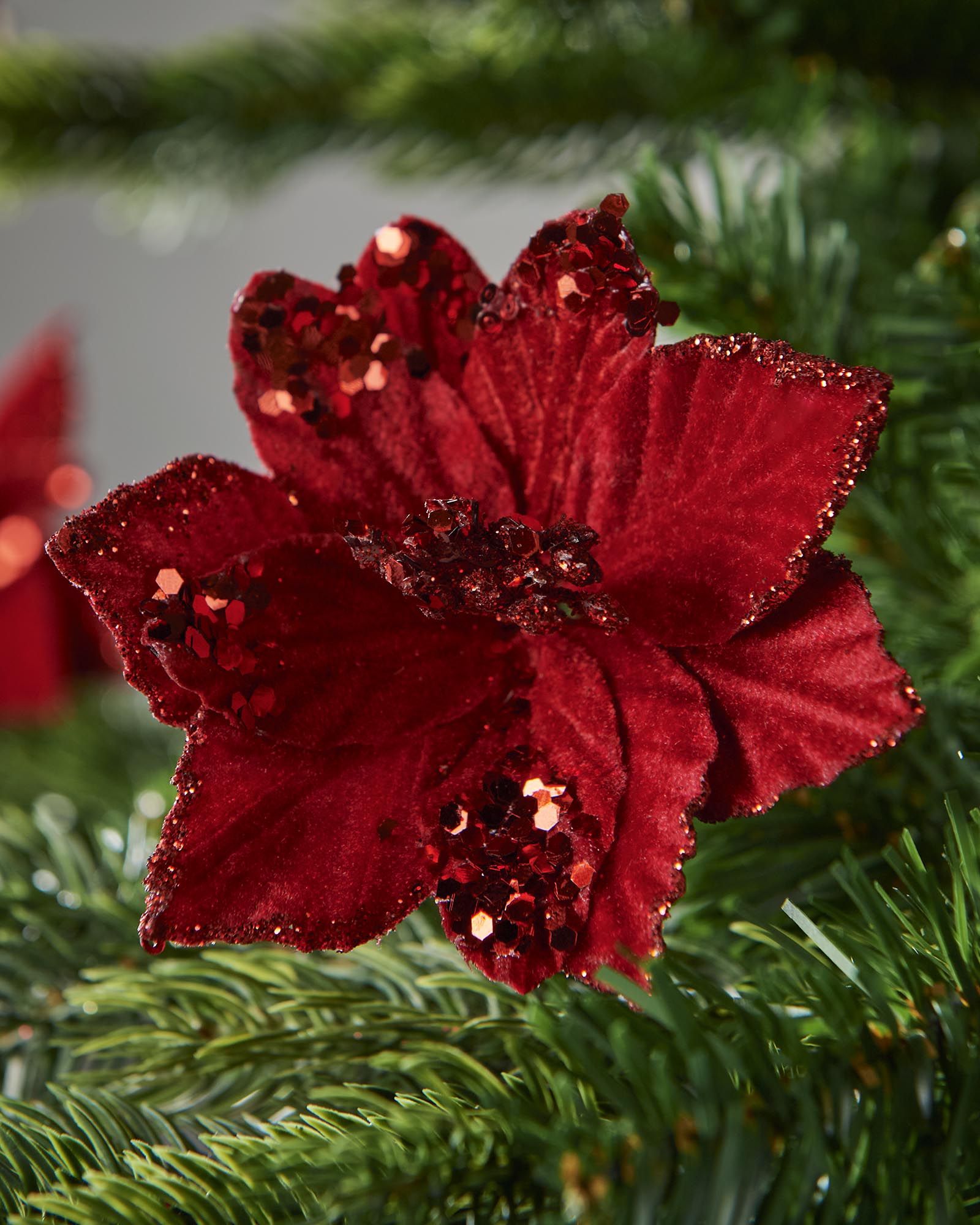 Close up of a Red glittery Poinsettia flower on a green Christmas tree
