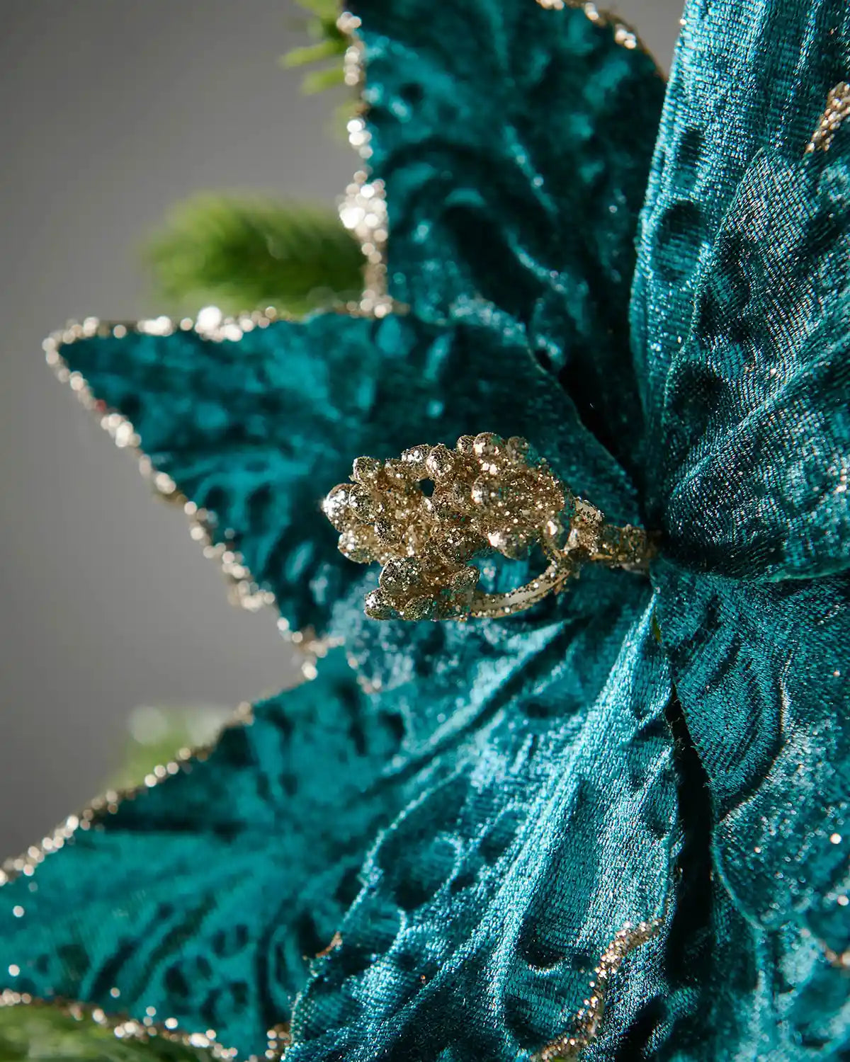 Close up of a Turquoise Poinsettia flower on a Christmas tree with a blurred background
