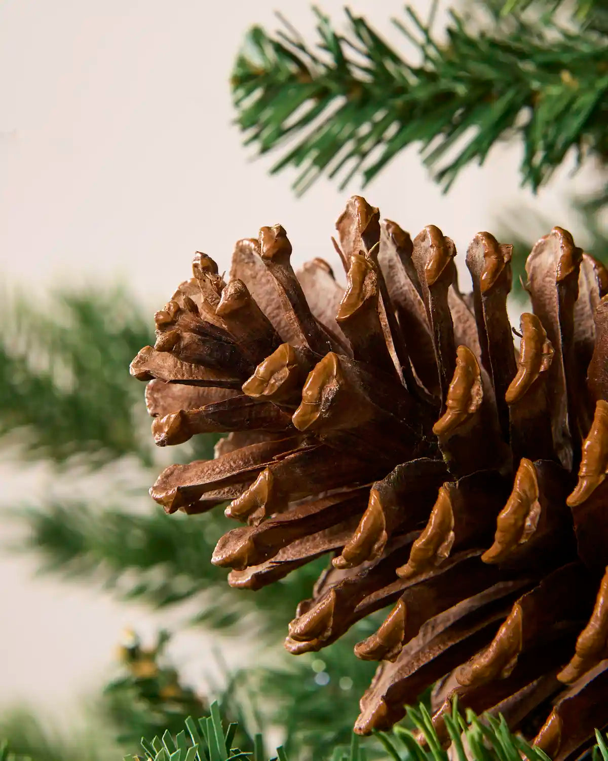 Close up of a large pinecone decoration with blurry Christmas tree branches in the background