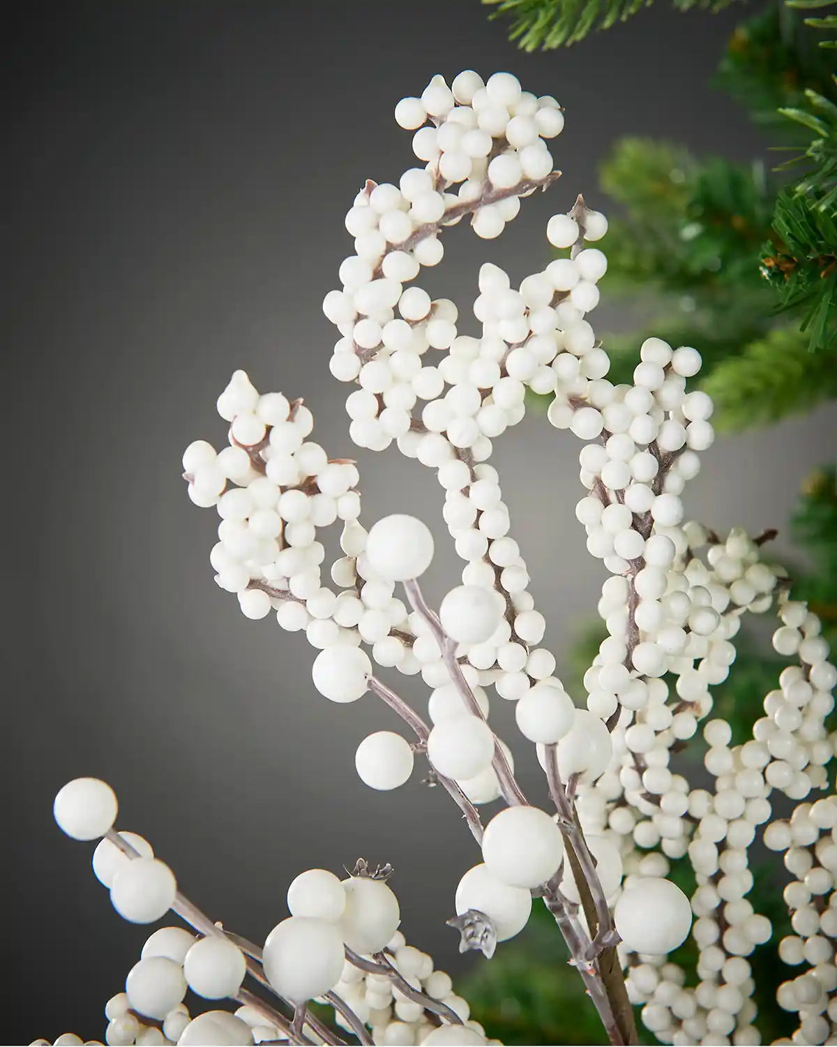 Close up of a white berry cluster branch on a Christmas tree against a grey burry background