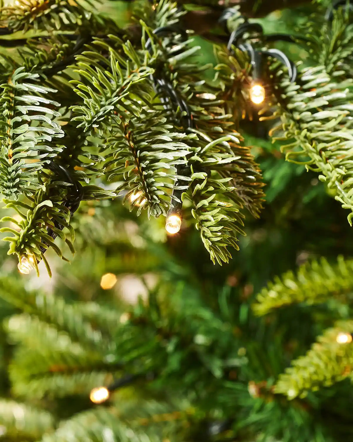 Close up of an 8ft Christmas tree with PVC and PE tips and single lit warm white bulb
