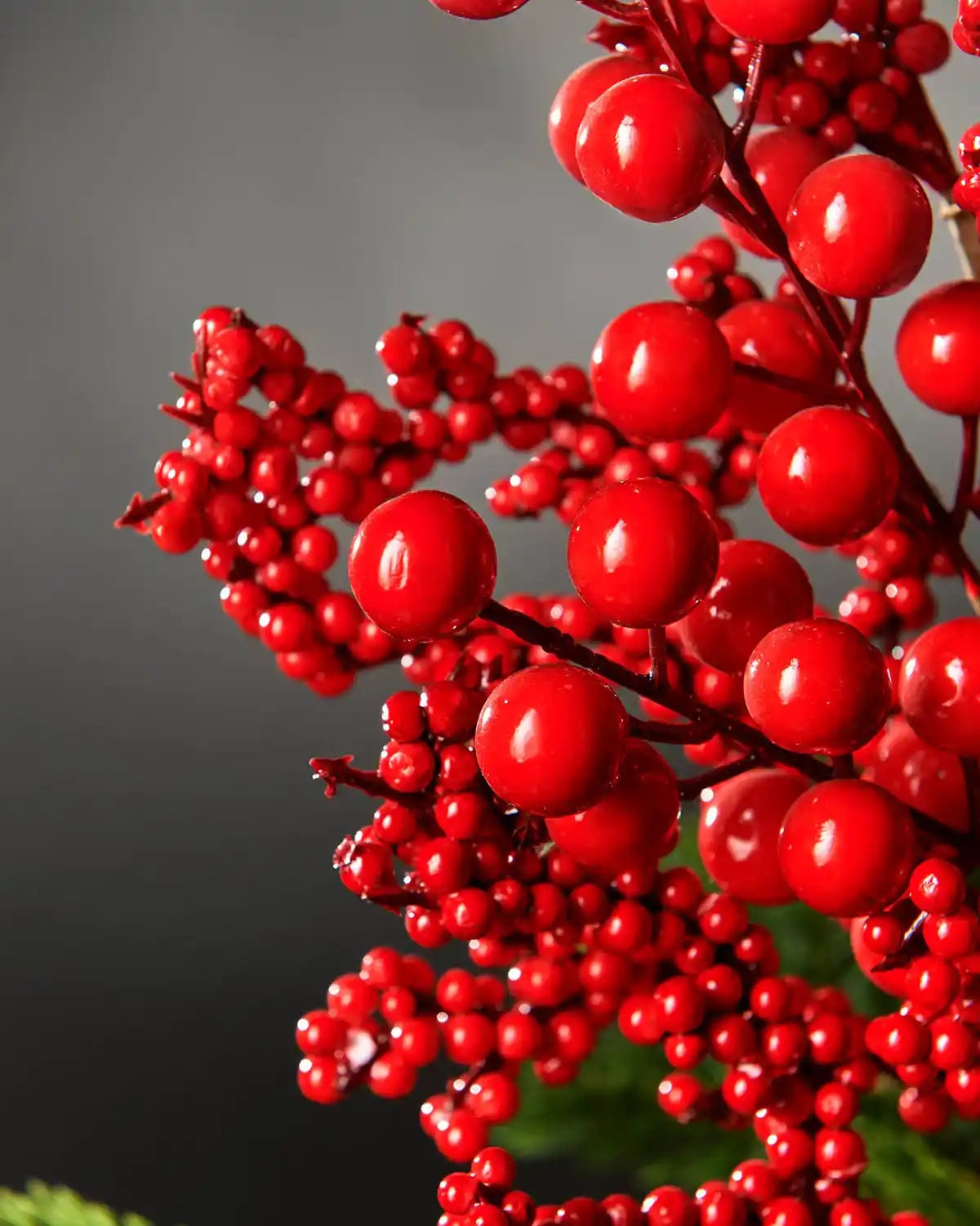 Close up of decorative branch with small red berries and larger red berries on a Christmas tree against a grey background 