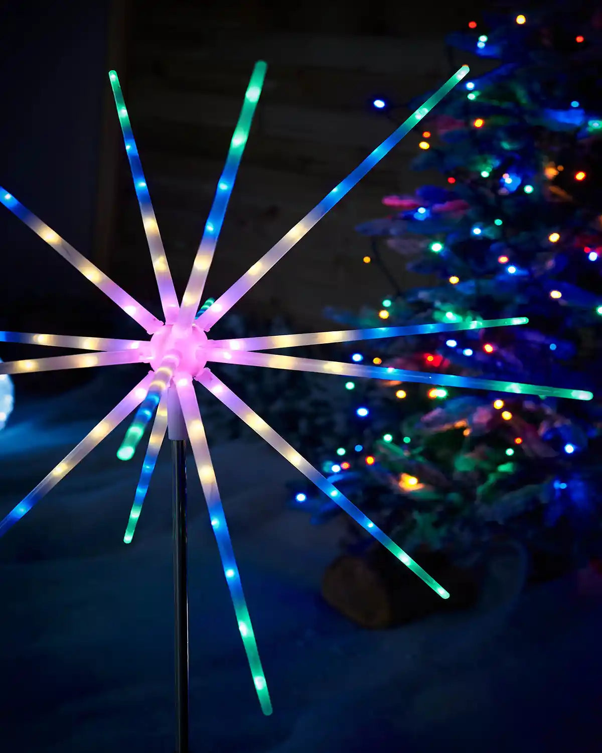 Close up of multi coloured light tubes on the Starburst Pathway Stake Light, Multi-Coloured, 98 cm in a garden with a Christmas tree