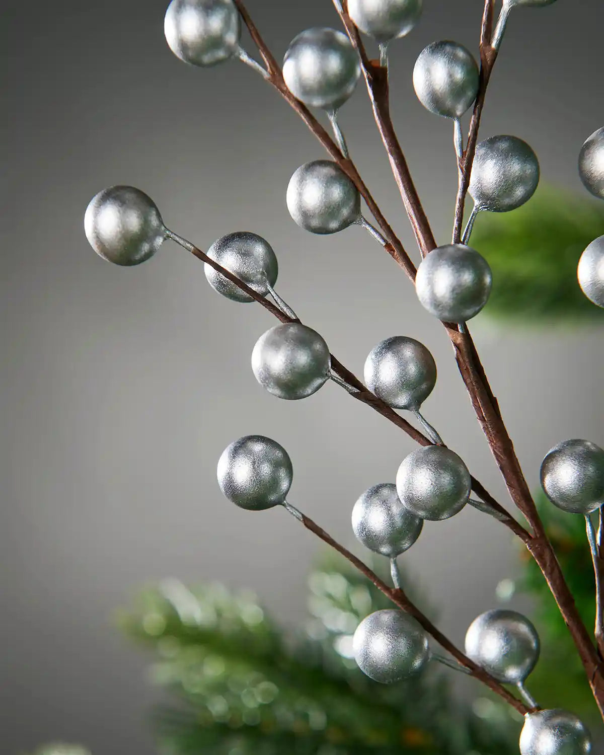 Close up of silver berries on a blurred green and Grey background
