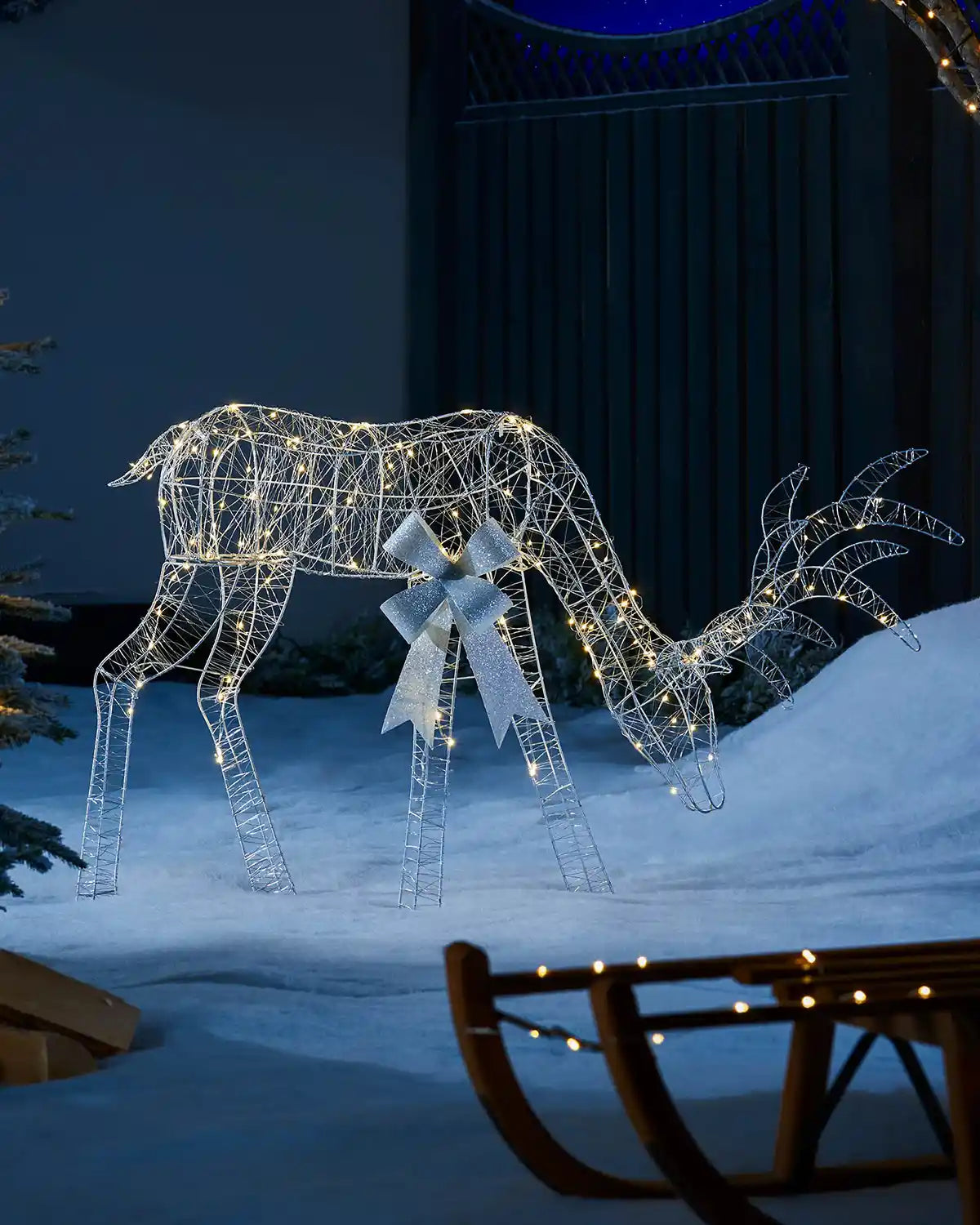 Close up of the Doe grazing in a snowy garden at night time