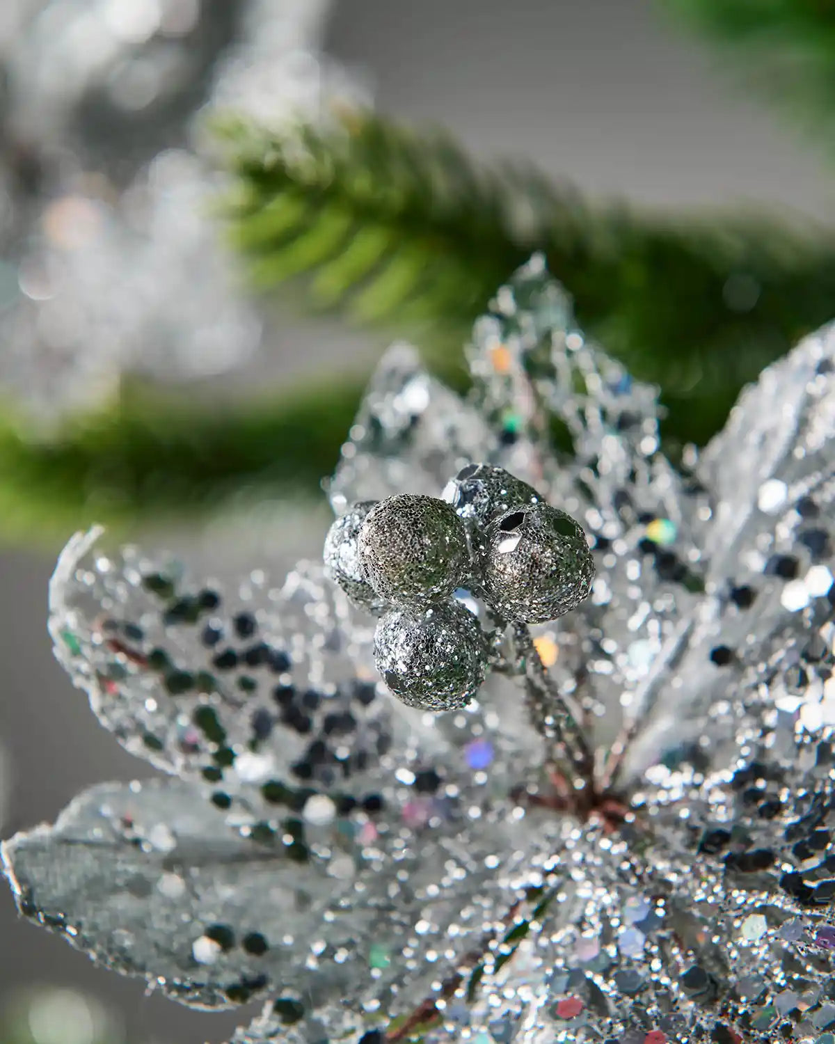 Close up of the Silver glitter berries inside a silver Poinsettia flower on a Christmas tree branch