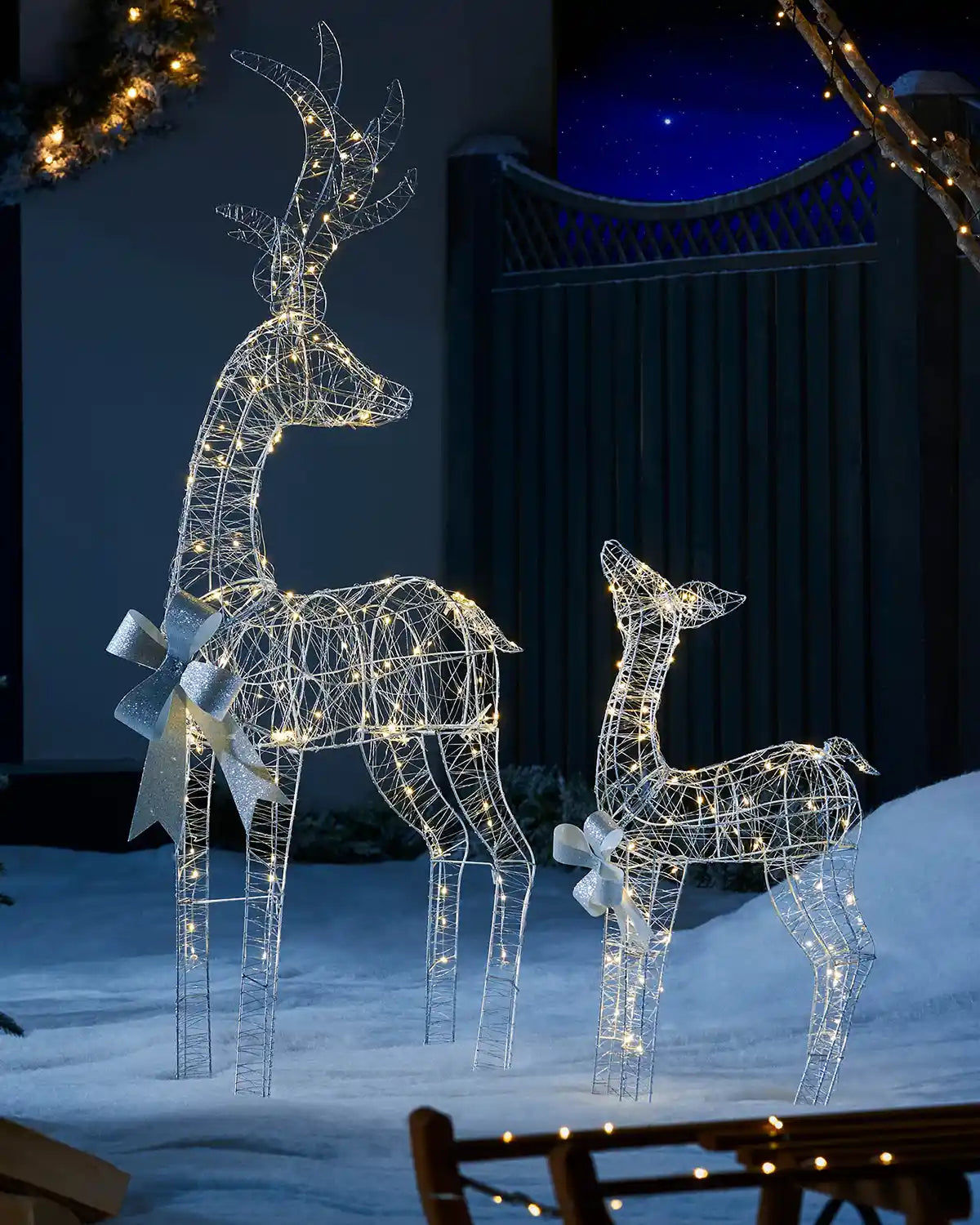 Close up of the Stag and calf in a snowy garden with Trees and lights at night time