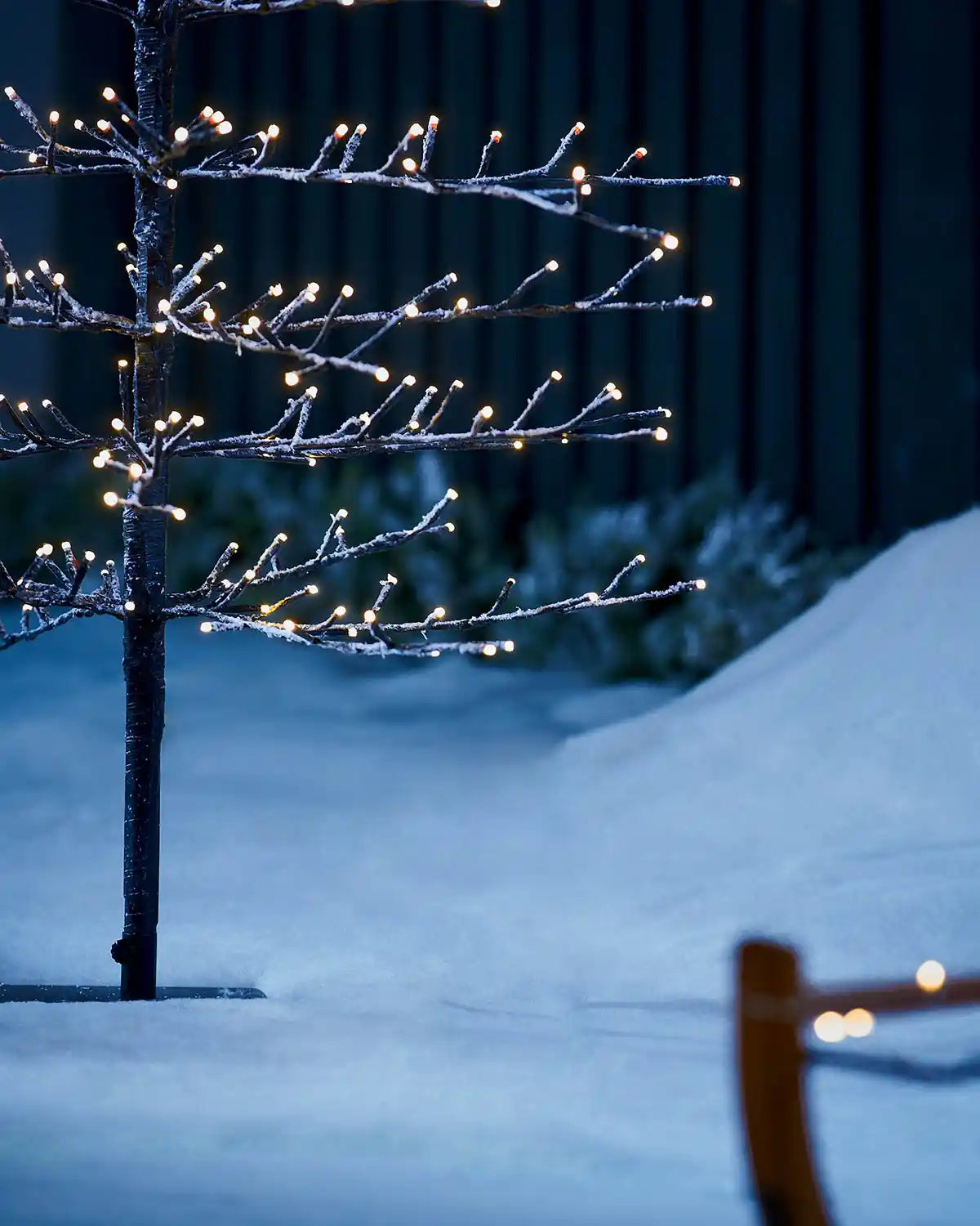 Close up of twig tree branches with lights against a dark night time setting