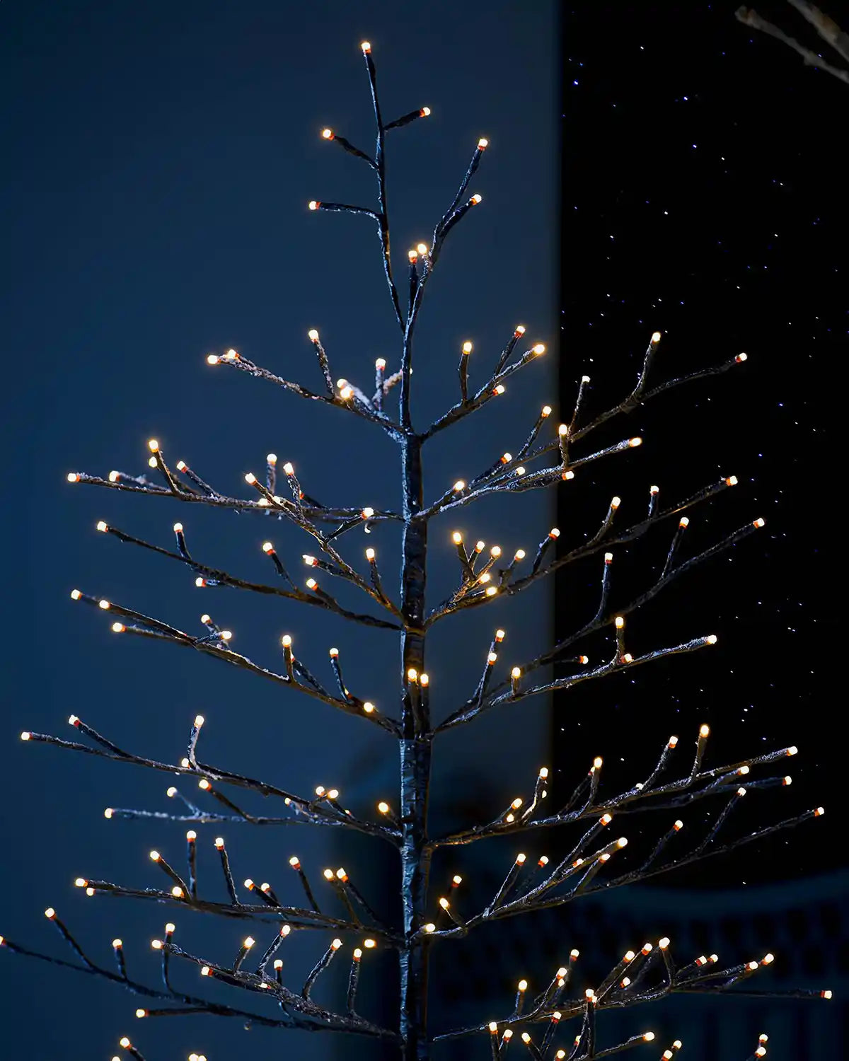 Close up of twig tree with lights against a dark night time setting
