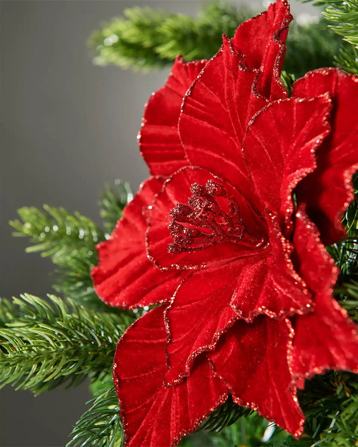 Close-up of red glitter-edge artificial poinsettia flower on Christmas tree in front of grey wall background highlighting sparkle detail