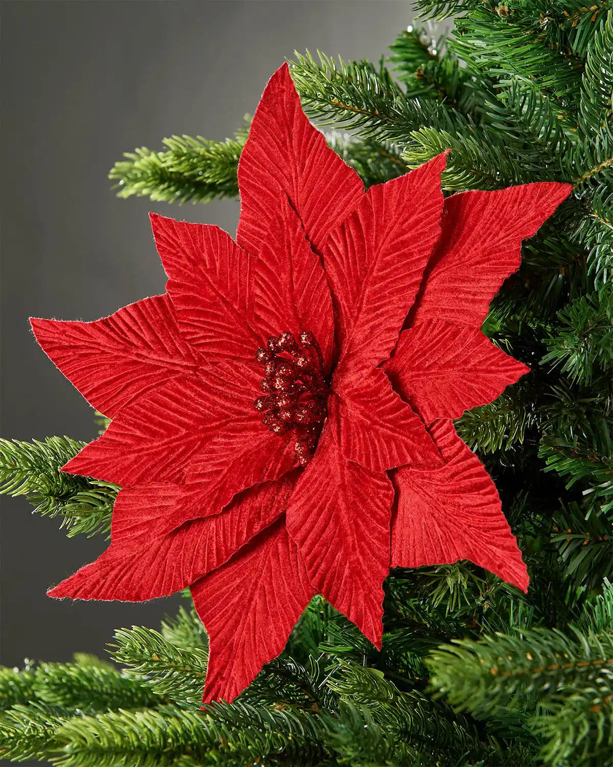 Close-up of red velvet-look artificial poinsettia flower attached to Christmas tree in front of grey wall background