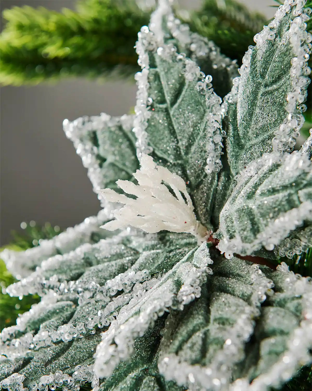 Close-up of sage green velvet-look frosted artificial poinsettia flower attached to Christmas tree highlighting sequin sparkle effect