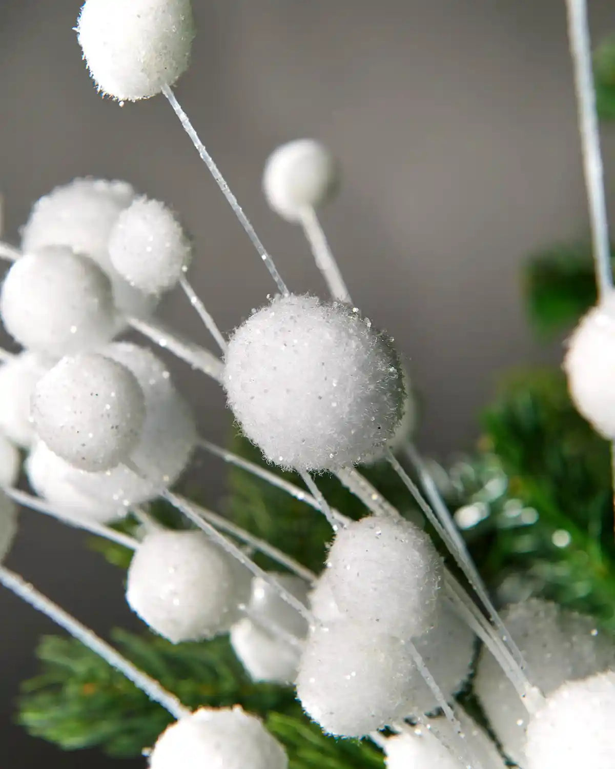 Close-up of white snowball spray in front of grey wall background highlighting pompoms