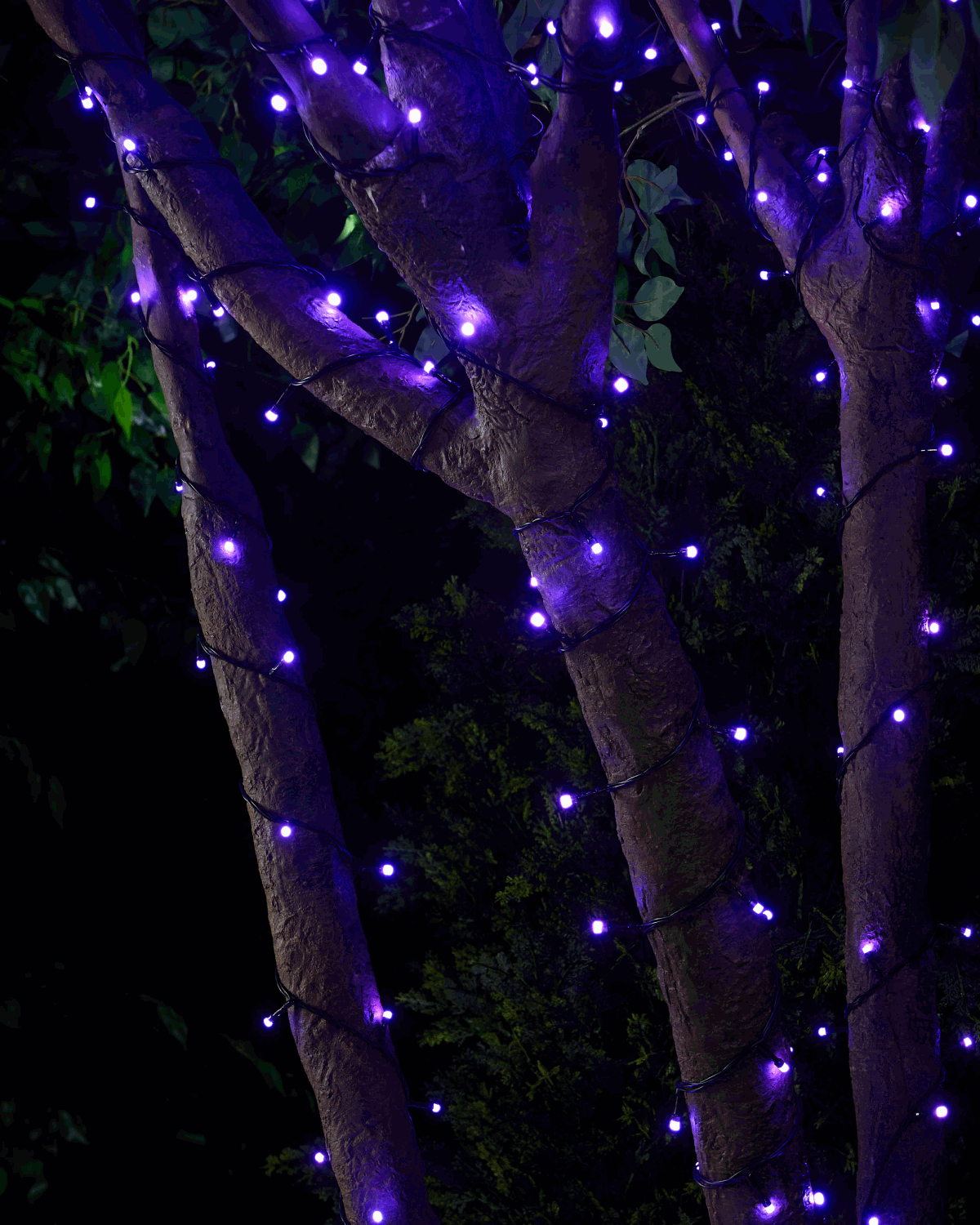Colour-changing LED string lights wrapped around a tree branch flashing different colours.