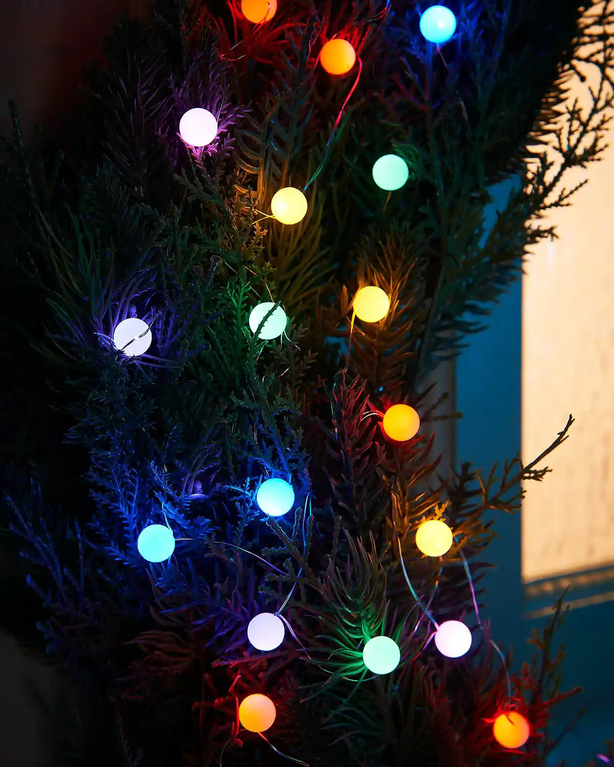 Colourful berry string lights wrapped around a garland hanging on a garden tree trunk 