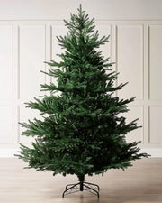 Dark Green artificial Christmas tree on a  cream panel wall background