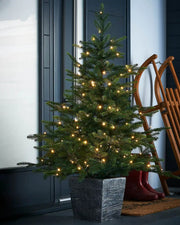 Decorated Pre-Lit Grand Fir Potted Christmas Tree, 4 ft with lights in a textured black pot on a doorstep 