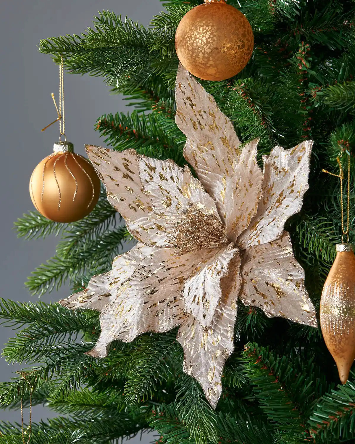 Decorative Poinsettia flower with gold and white petals on a Green Christmas tree and Gold baubles