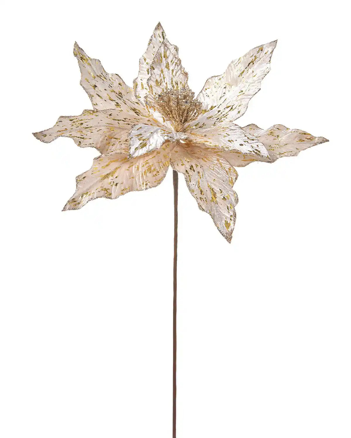 Decorative Poinsettia flower with gold and white petals on a white background