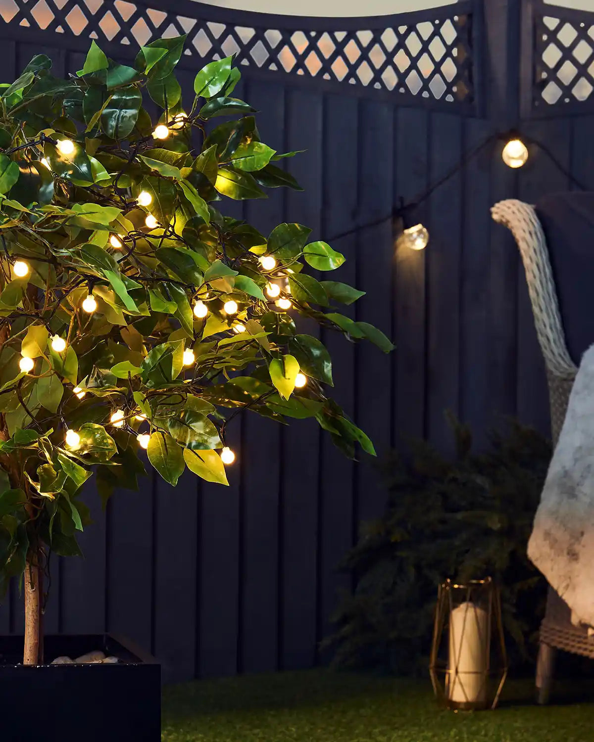 Decorative Berry string lights on a tree with a dark blue wall and lattice design in the background.