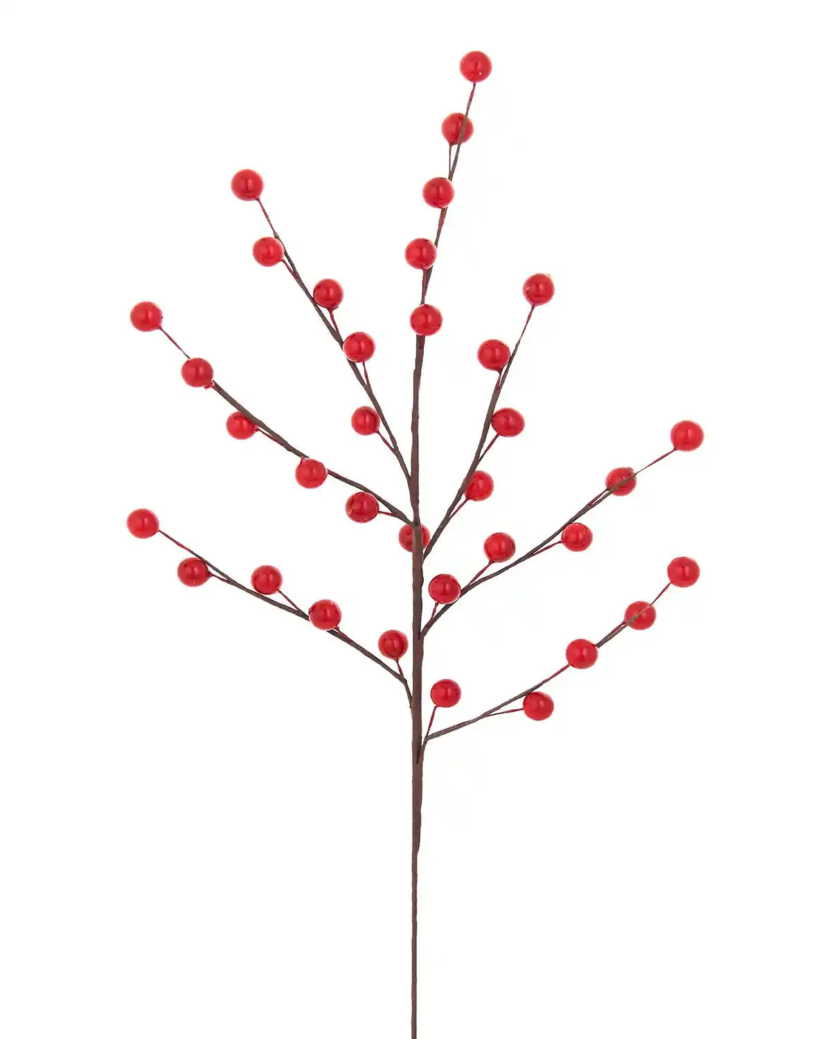Decorative branch with red berries on a white background