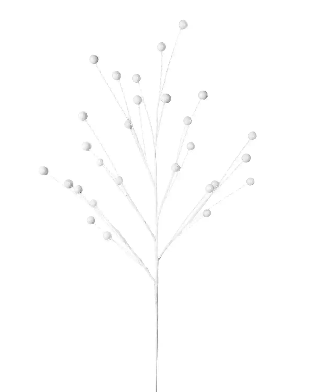 Decorative branch with white berries on a white background