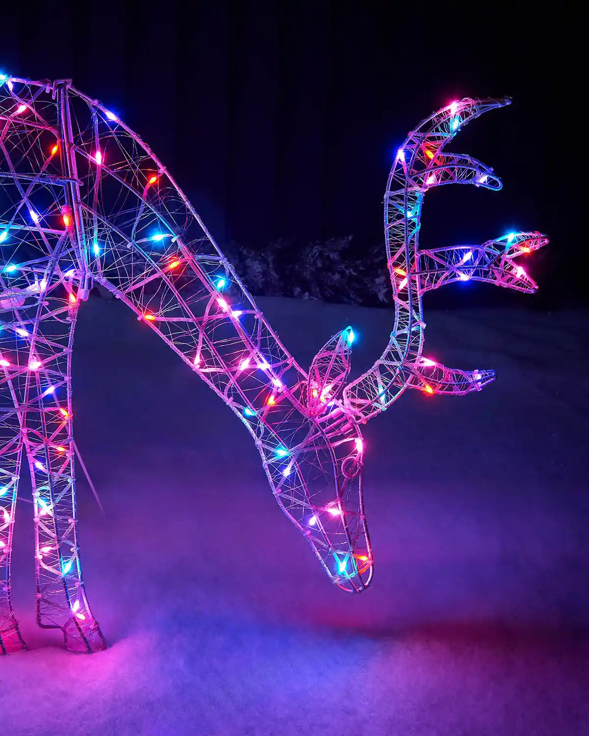Decorative deer sculpture with colourful Aroura lights against a dark background