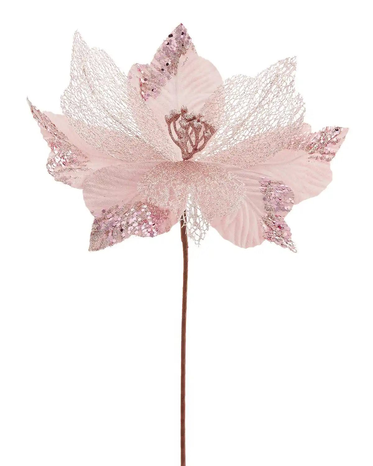 Decorative pink flower Poinsettia with a stem on a white background