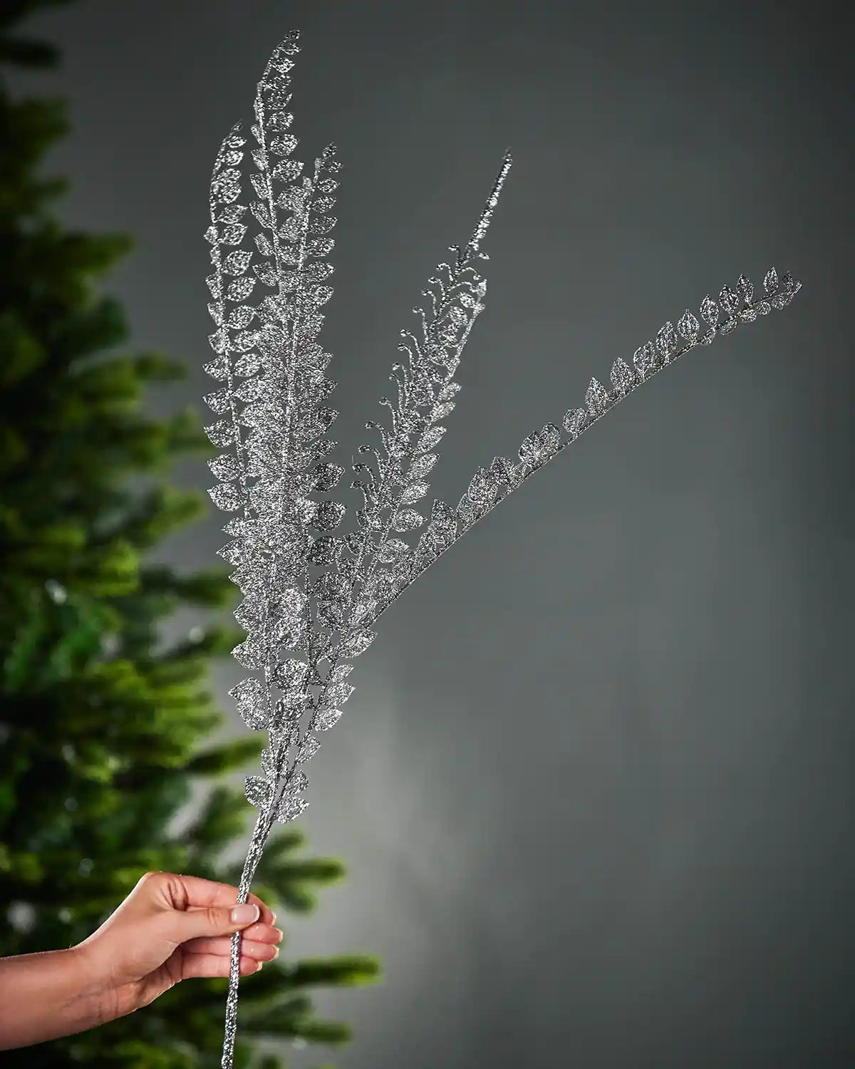 Decorative silver fern branch held by a hand against a dark background