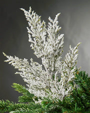 Decorative snow flocked Christmas tree branch with white frost against a dark background