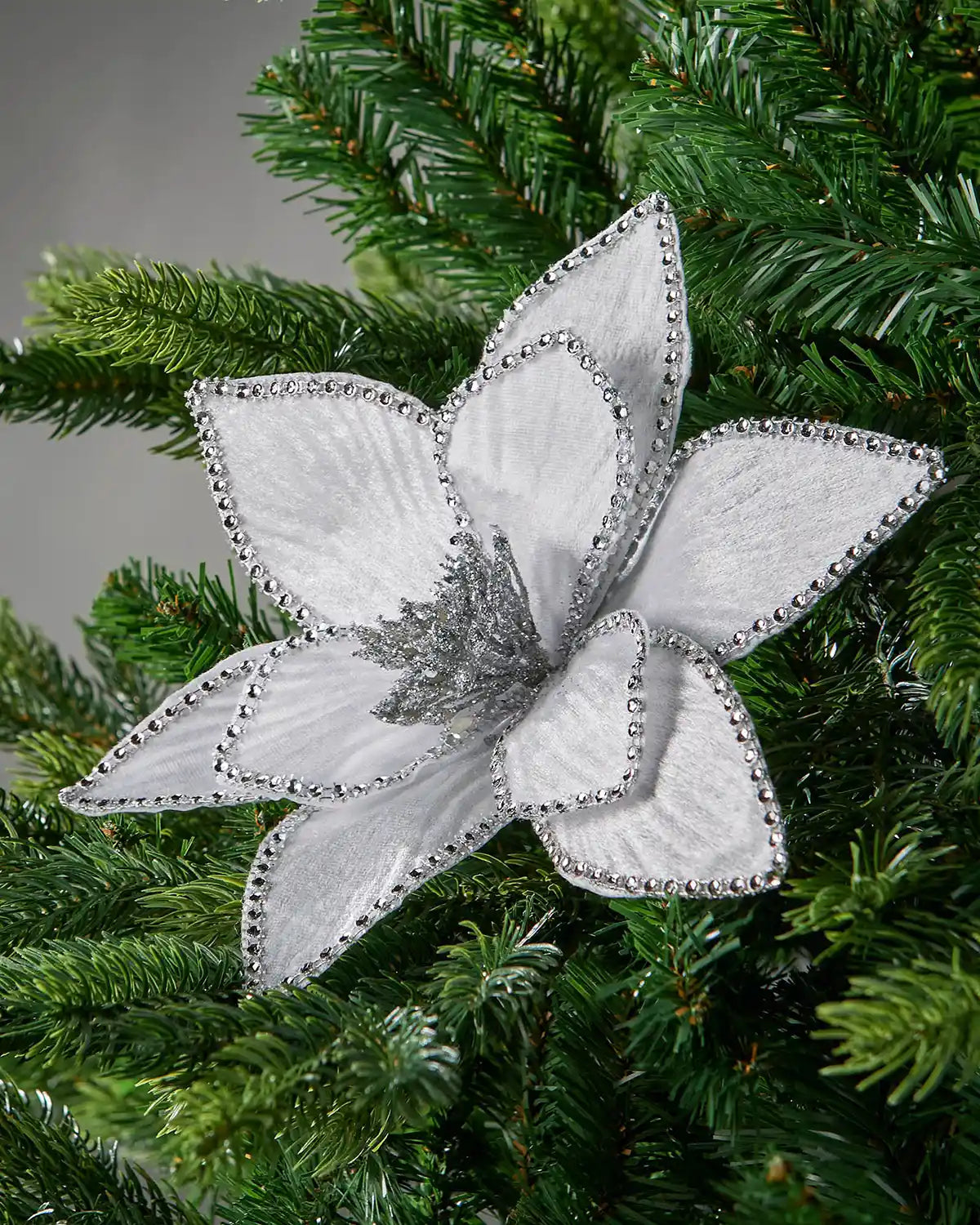 Decorative white Poinsettia
flower ornament with silver accents on a Christmas tree.