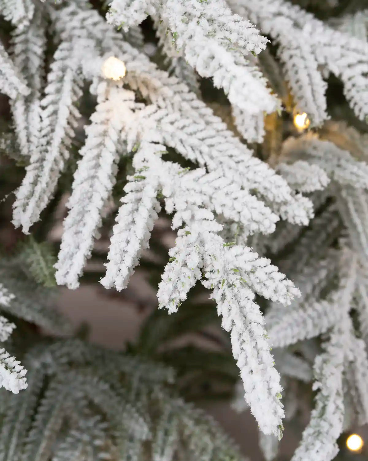Detailed close-up of snow-flocked Christmas tree branches with warm white light