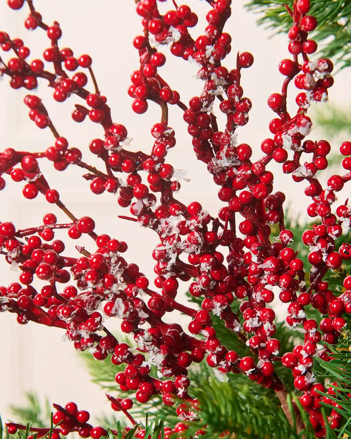 Detailed view of red berry branches covered with clusters of glossy berries and scattered white frosted accents.