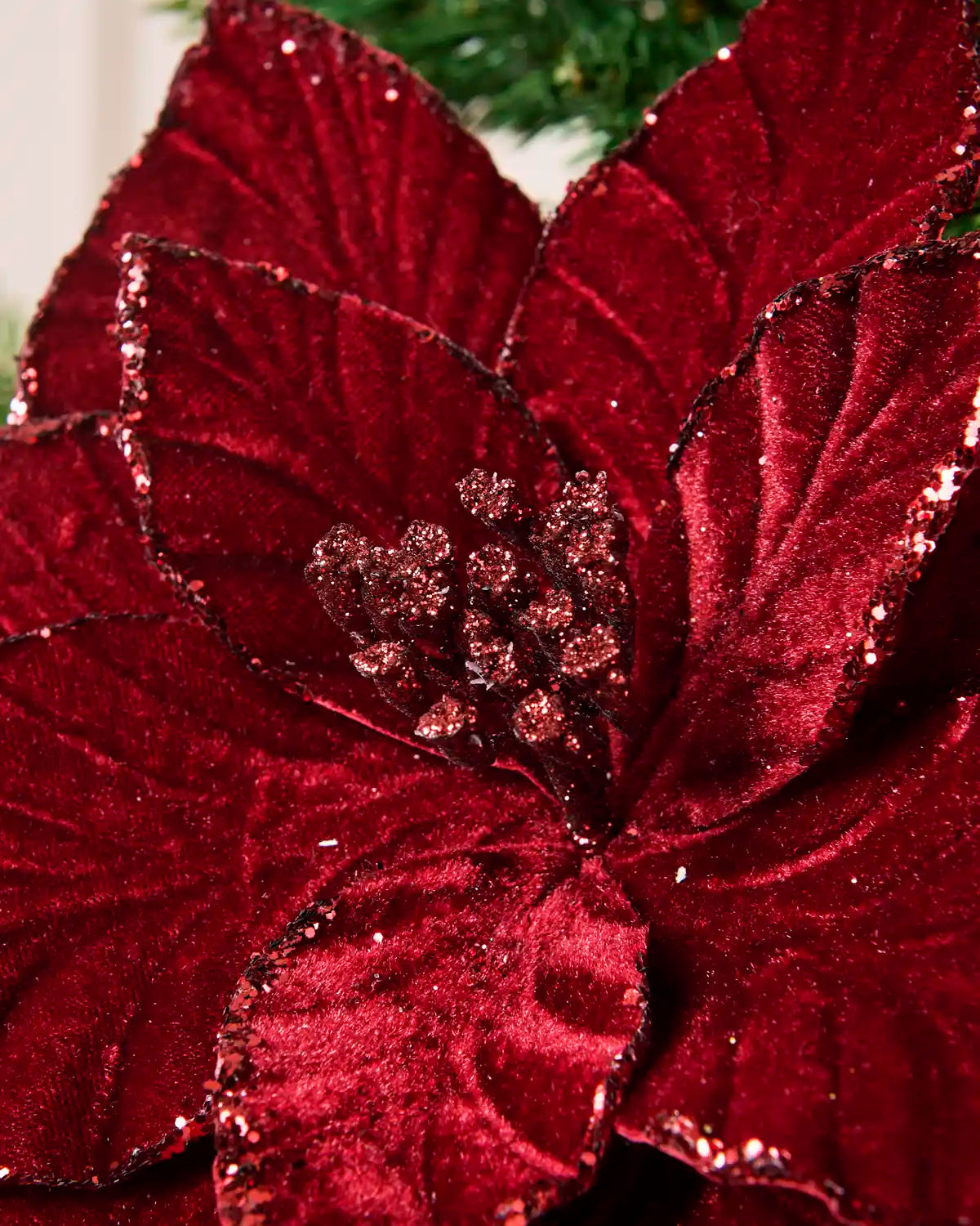 Detailed view of the burgundy velvet poinsettia’s glittered center and textured petals