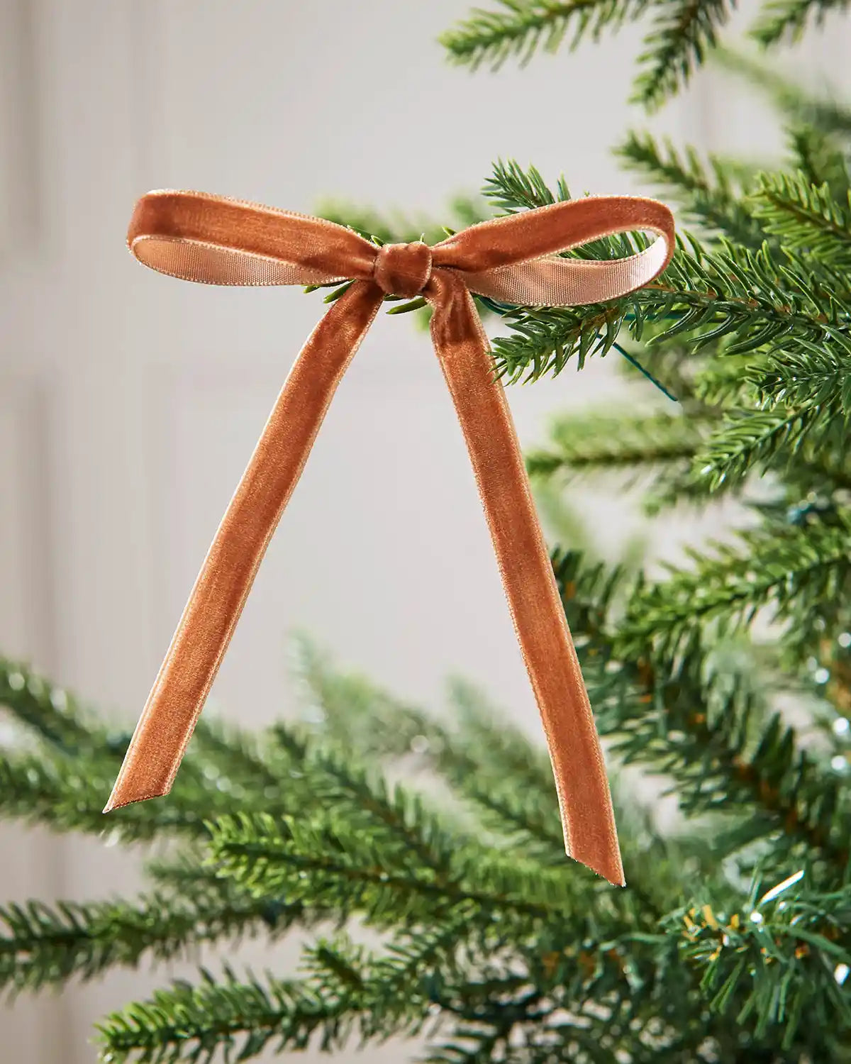 A single espresso velvet bow on the edge of a Christmas tree branch in front of a white background